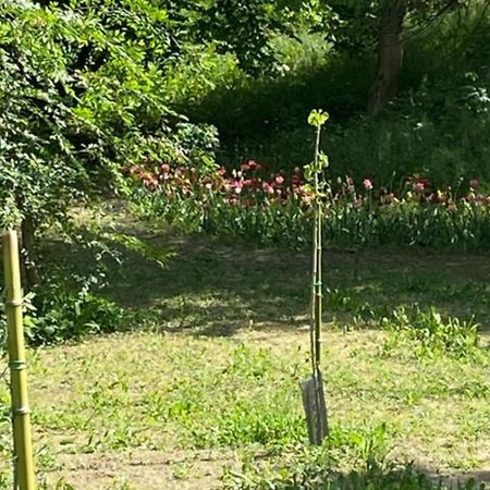 Eco House Roero Cottage Alba  Dış mekan fotoğraf