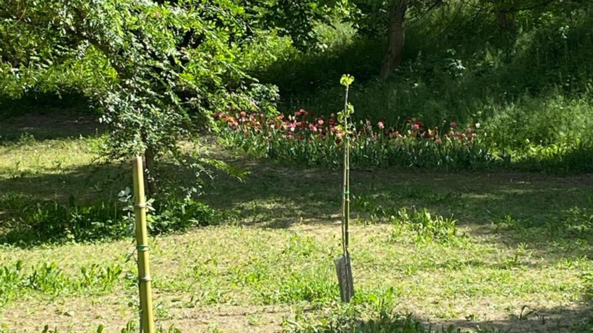 Eco House Roero Cottage Alba  Dış mekan fotoğraf